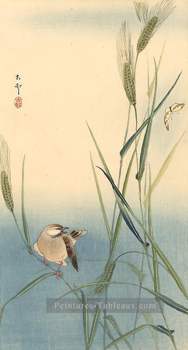 Songbird sur tige d’orge Ohara KOSON japonais Peintures à l'huile